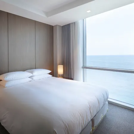 Hotel Regent Marine Jeju Отели рядом с Аэропорт Чеджу