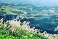 Losum Love Summer·Houhui Period Seaview B&B (Dongji Miaozihu) Hotels in Dongji Island/Dongfu Mountain