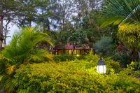 Wigot Gardens Hotels in 