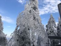 庐山仙居阁民宿 - 其他