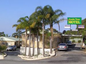 Koala Tree Motel