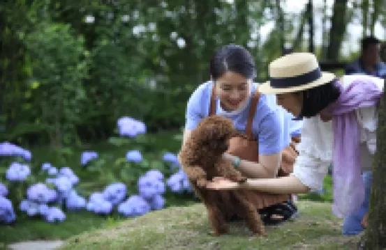 Qinghuandu Yaoyue Hostel Hotels near Chongqing Botanical Garden (Jinyun Road)