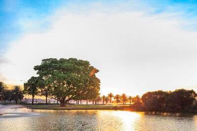 ホテル周辺 クラウンプラザ パースの写真