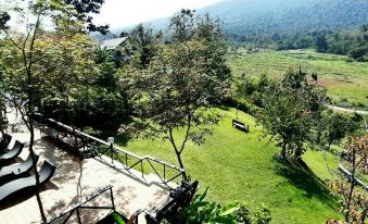 Chiangmai  Luxury  Garden Pool Villa