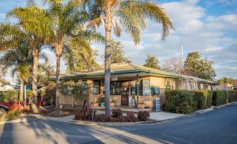 a small restaurant with palm trees in front of it , located on the side of a road at Big4 Borderland Wodonga