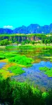 China Inn (Yesanpo) - Ramah Hewan Peliharaan