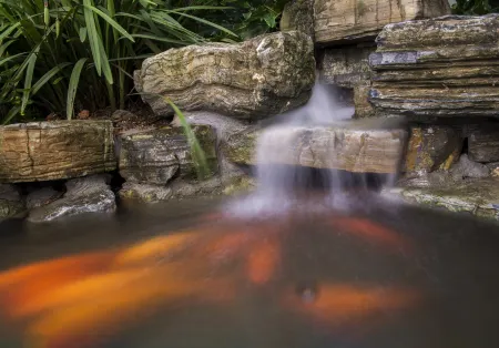 Yongjia Mohist's homestay