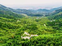 衡阳绿光森林避暑山庄 - 酒店景观