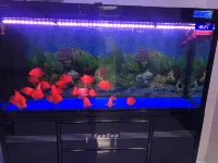 Wuqiao Yuemei Fashion Hotel