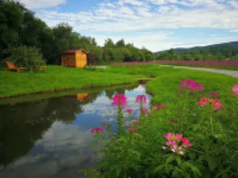 Kuandian Qingchuan Farm Stay