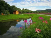 Kuandian Qingchuan Farm Stay