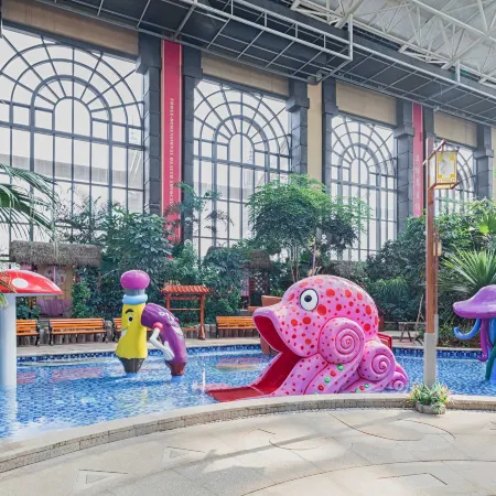 Yinji Huangdi Palace Yu Hot Spring Hotel (Animal Kingdom)