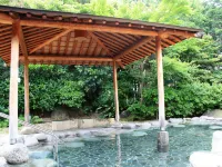 Izu Daisenya - con terme