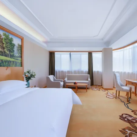 Vienna International Hotel (Lishui Suichang)