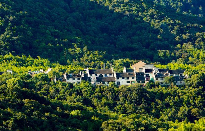 Nature Retreat life-style boutique hotel
