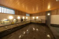 北海道小樽運河託麗芙特酒店 - SPA