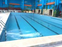 巴林右旗凌水温泉酒店 - 室内游泳池