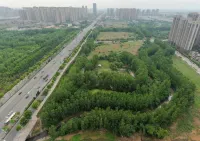 GreenTree Inn Hotel (Hefei Zhenxing Road Subway Station) - pemandangan pegunungan
