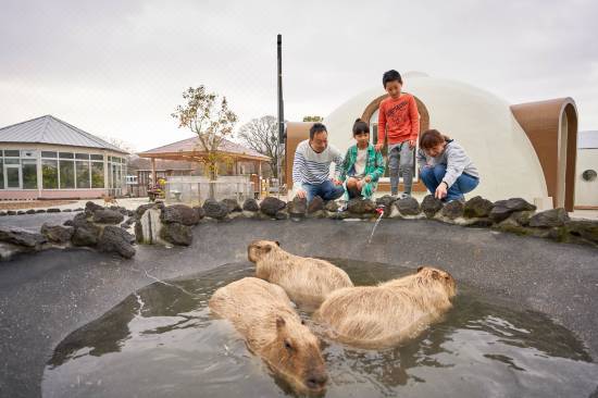 阿蘇ファームランド 南阿蘇 宿泊予約 安い料金プラン 口コミ 部屋写真 Trip Com 阿蘇ファームランド 南阿蘇 宿泊予約 安い料金プラン 口コミ 部屋写真 Trip Com