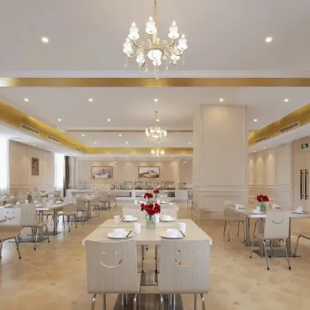 Vienna Hotel(Taihe Baitai Xingma international store)