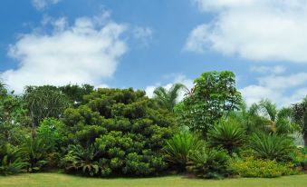 Summerfield Botanical Garden & Exclusive Resort