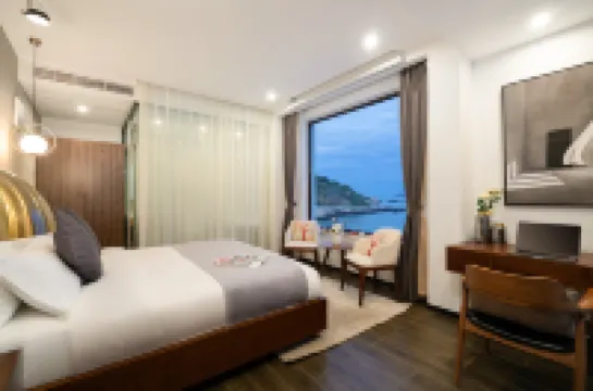 Who met·Courtyard Life Aesthetics Designer Seaview Meisu (Shengsi Flower and Bird Island Store)