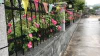 Jiande Lemon Xiaoyuan Homestay Các khách sạn ở Kiến Đức