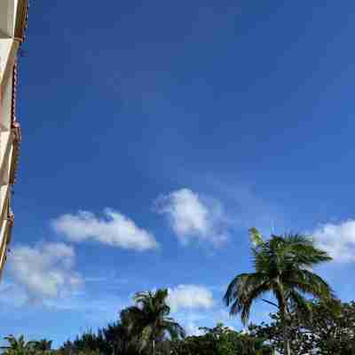 린켄 호텔 Hotel Exterior