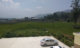 Mianning Olive Farm