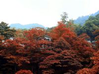 青城山昆泰山庄酒店别墅 - 酒店景观