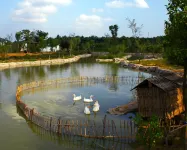 Greendoor Resort