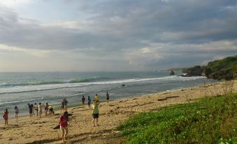 5. Seashoy ..