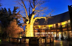 Cresta Mowana Safari Resort & Spa