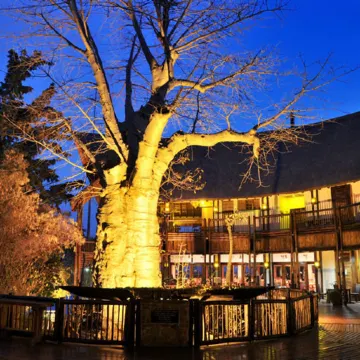 Cresta Mowana Safari Resort & Spa