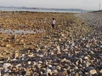长岛大风车自助公寓 - 酒店附近