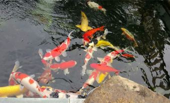 Floral Hotel · Taishan Shenchuan Koi Holiday hotel