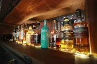 Arcadia HotSpring Hotel - bar
