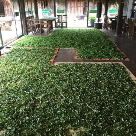 Fuxingji Pu'er Tea Guesthouse