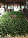 Fuxingji Pu'er Tea Guesthouse - بار