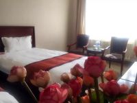 格林豪泰酒店(洛阳中州西路店) - 高级双床房