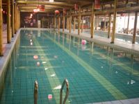 巨野麟裕国际温泉酒店 - 室内游泳池