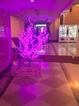 Harbin Haxi Wanda Jinjiang Fashion Apartment - Lejligheder