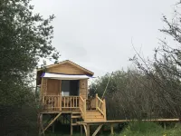 Norchi Resort