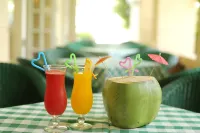 Palm Beach Resort & Spa - Bar