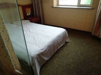 鄂尔多斯凯悦宾馆 - 地毯大床房