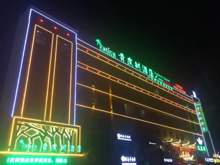 Vatica Hotel (Linquan County Tenghui International City) Отели в г. Линьцюань