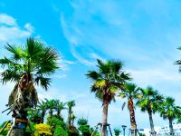 湄洲岛致青春宾馆 - 酒店景观