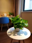 Citi Home Hotel (Luoyang Wangcheng Park Jiefang Road Subway Station)