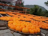 Hongyan Hongfulou Inn Gongcheng Hongyan