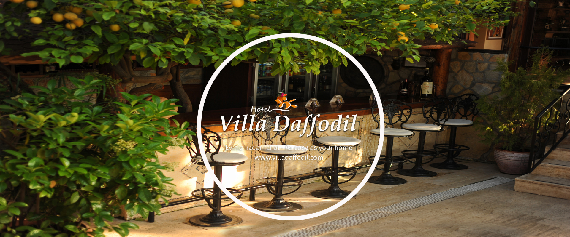 Hotel Villa Daffodil